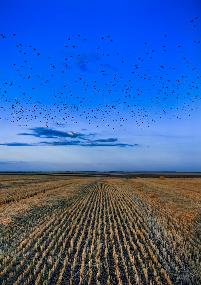 Photograph by Анастасия Семилетова