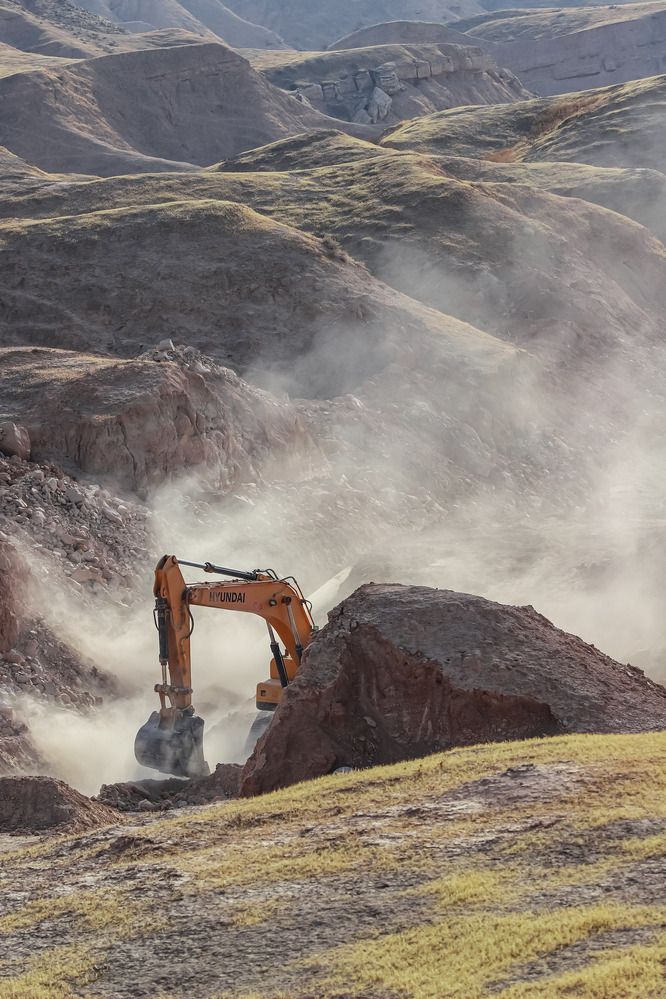 Фотография автора Neda Shirazi