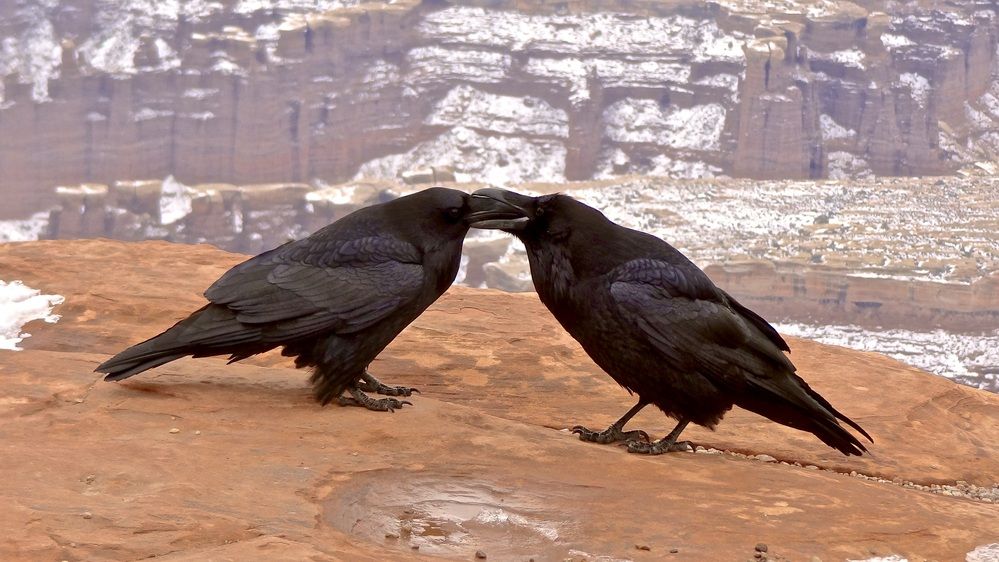 Photograph by Marina Poushkina