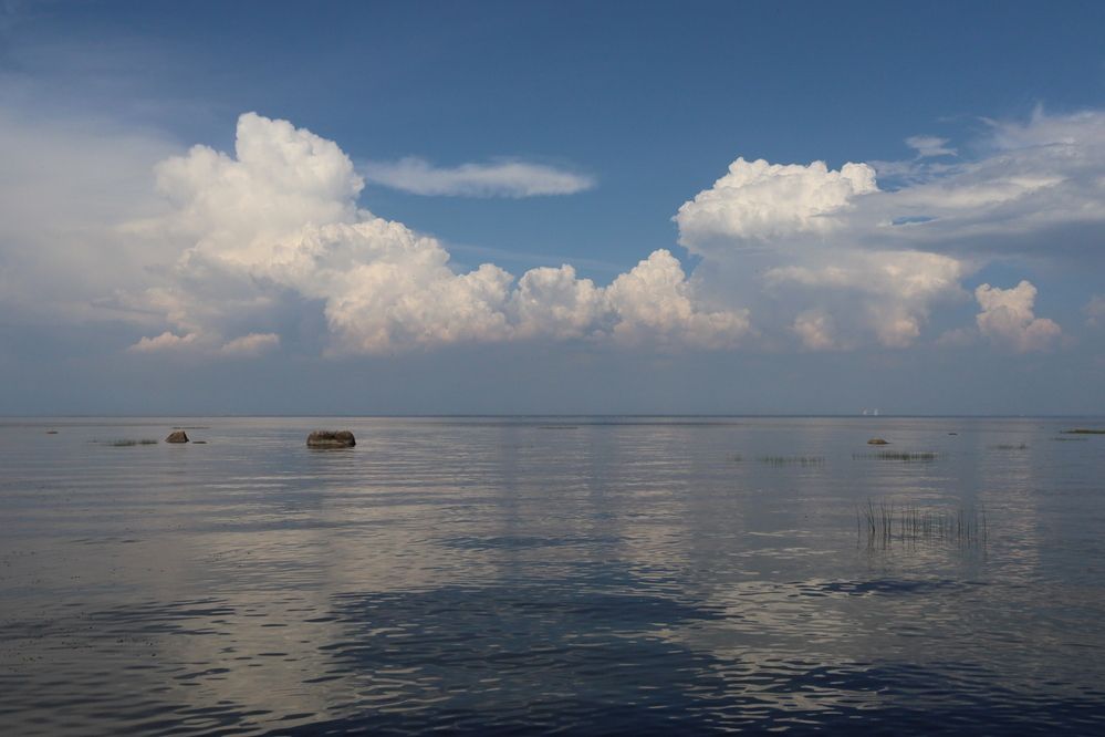 Photograph by Марианна Браун