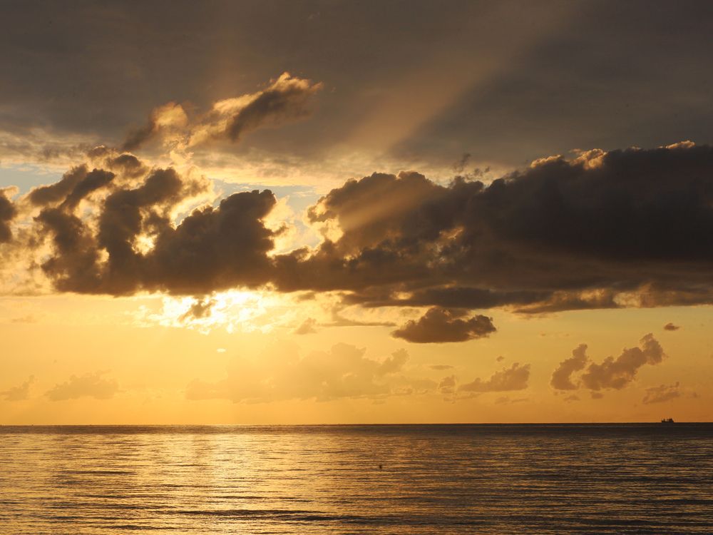 Photograph by Марианна Браун