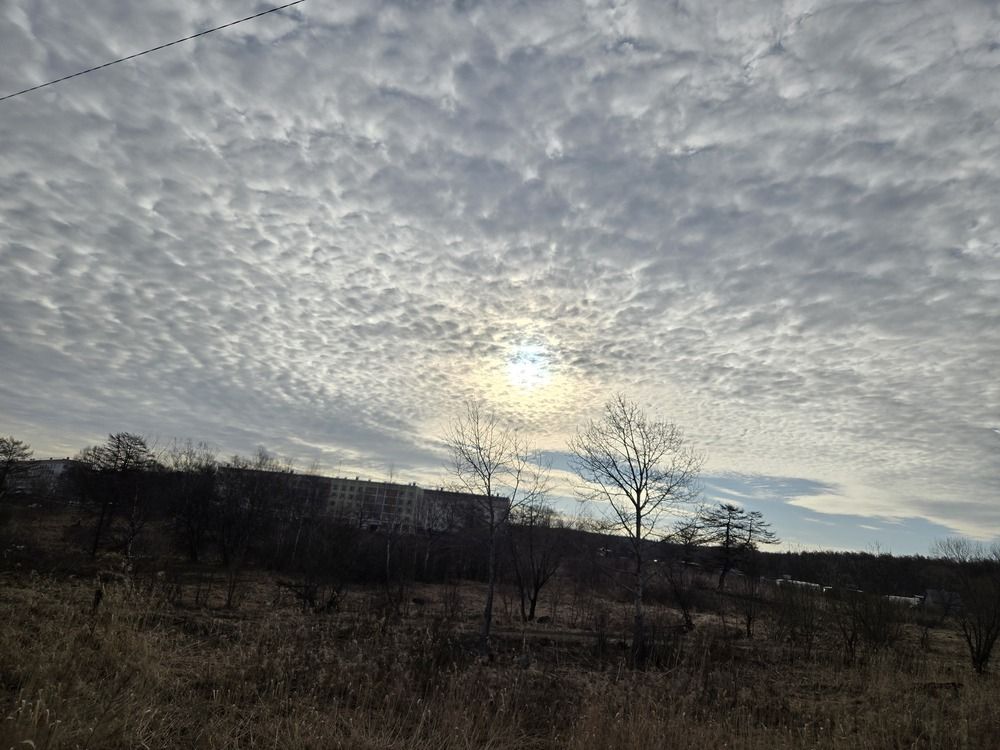 Photograph by Жанна Регор