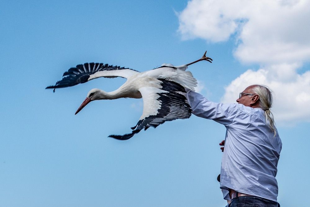 Photograph by Zsuzsa Décsi