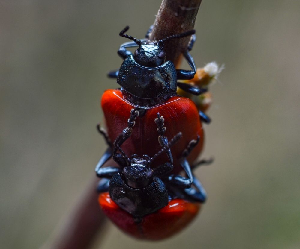 Photograph by Kirill Frolov