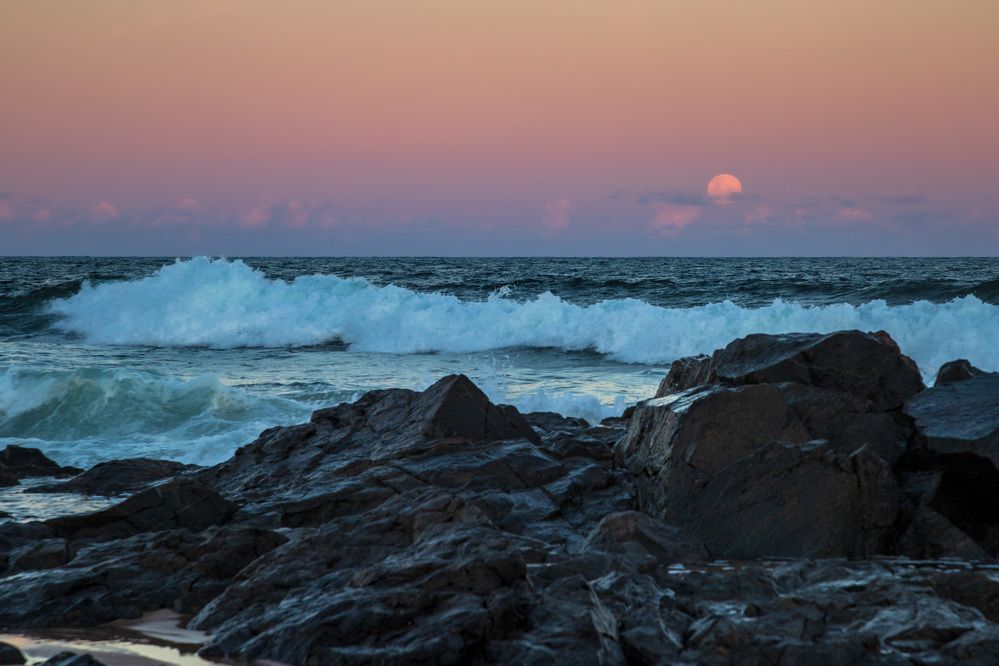 Фотография автора Marcelo Vaz