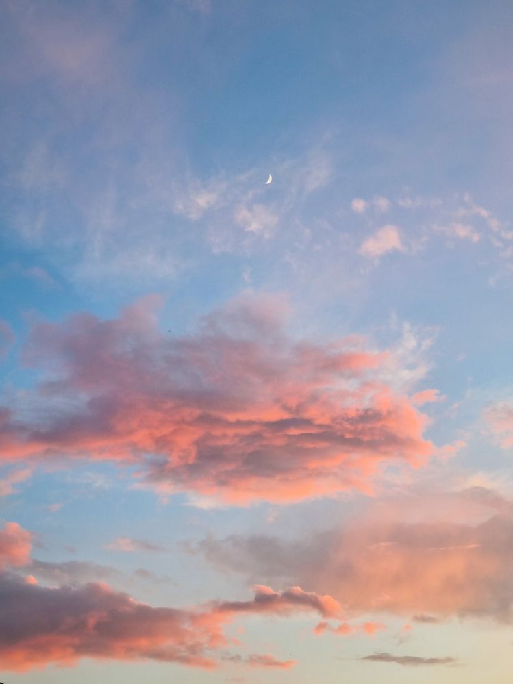 Photograph by Александра Александровна