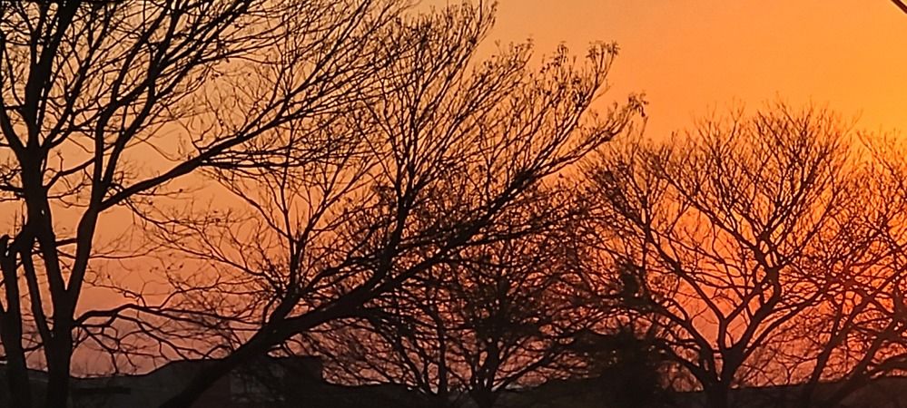 Mobile photo