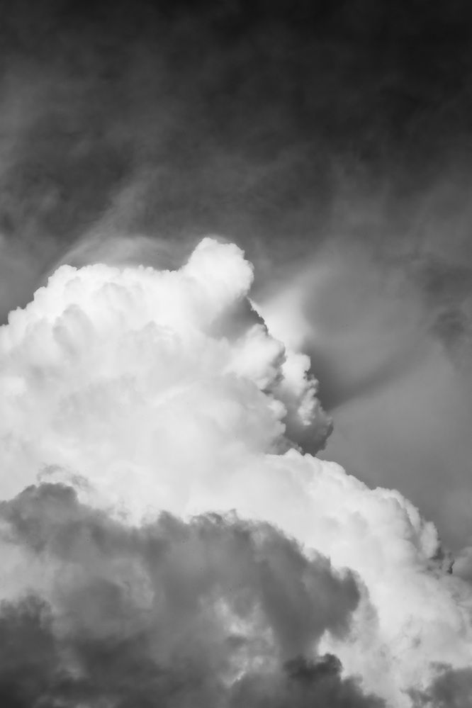 Фотография автора Marcelo Vaz