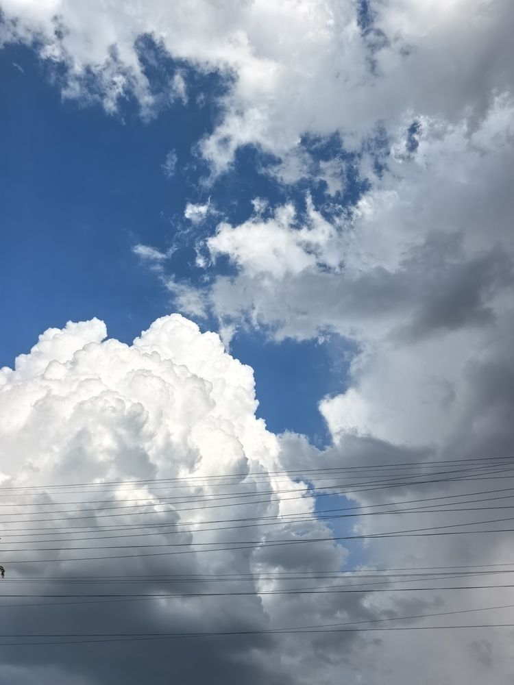 Photograph by Анна Якубинас