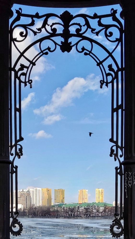 Photograph by Anastasia Malyukova