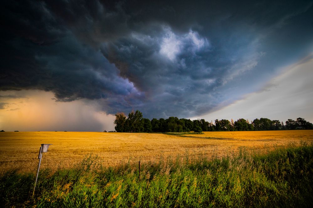 Photograph by Raghuvamsh Chavali