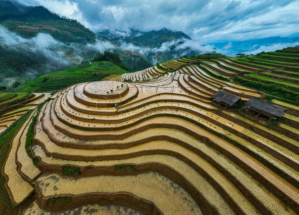 Фотография автора Nguyễn Hiếu