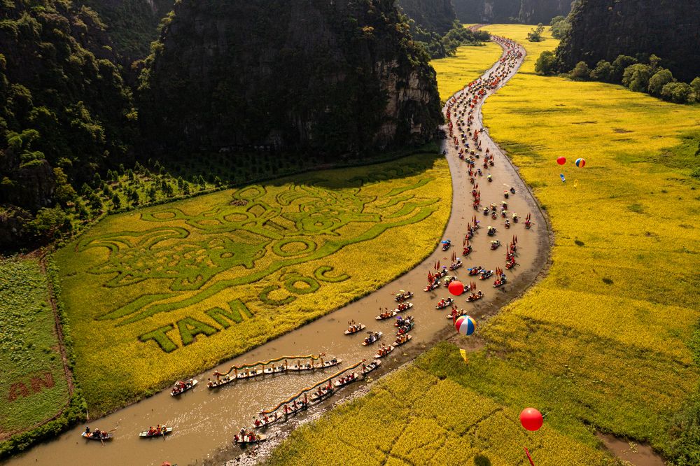 Фотография автора Nguyễn Hiếu