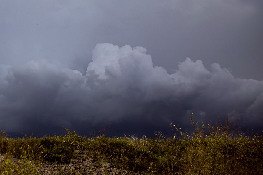 Photograph by Оксана Ланских