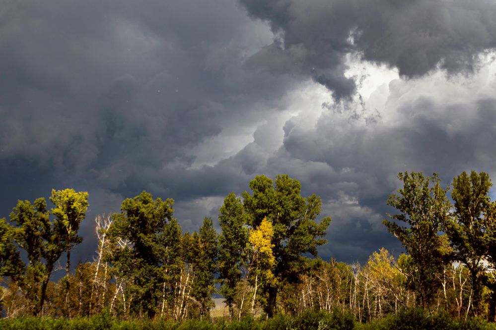 Photograph by Оксана Ланских