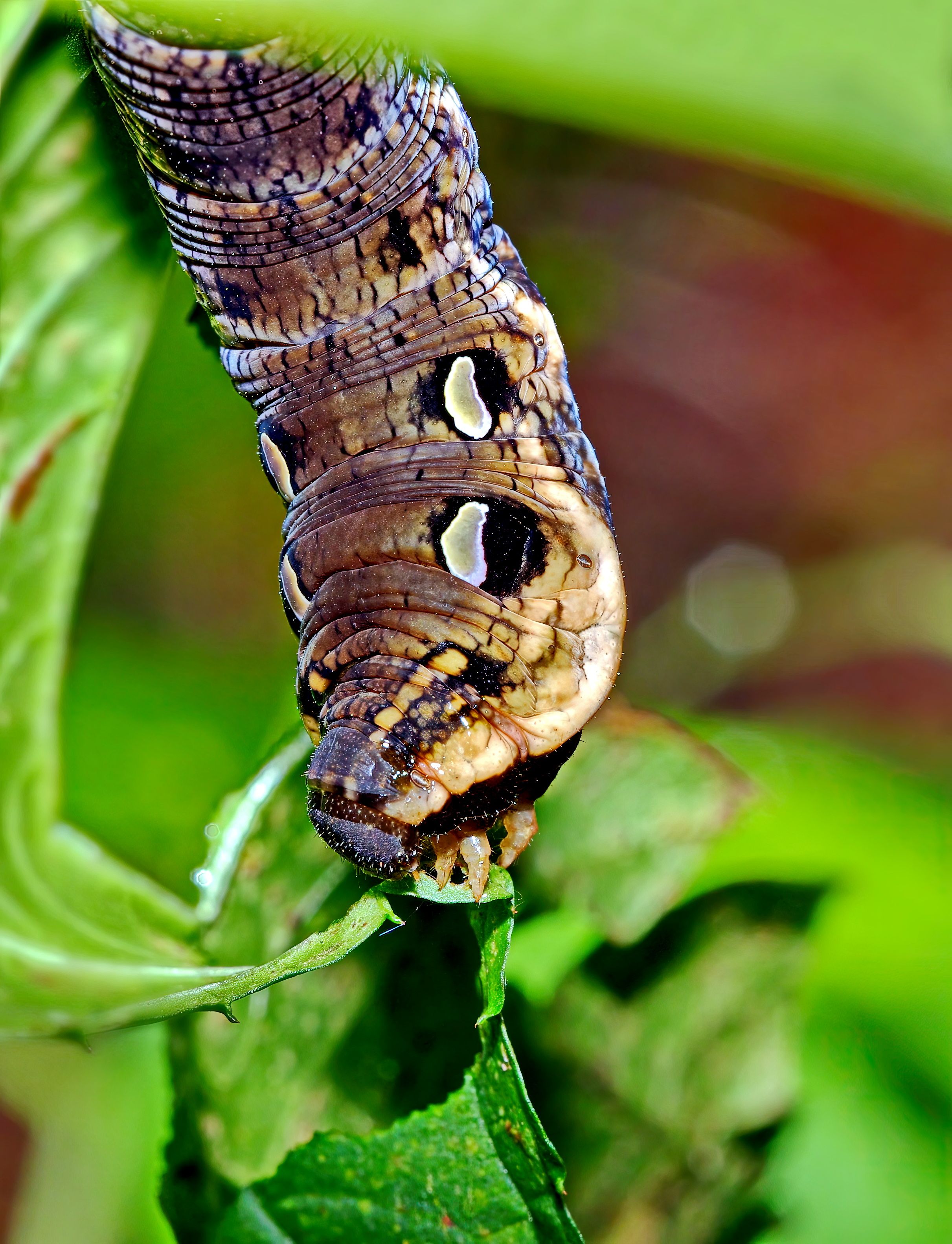 Photograph by Дмитрий Кузнецов
