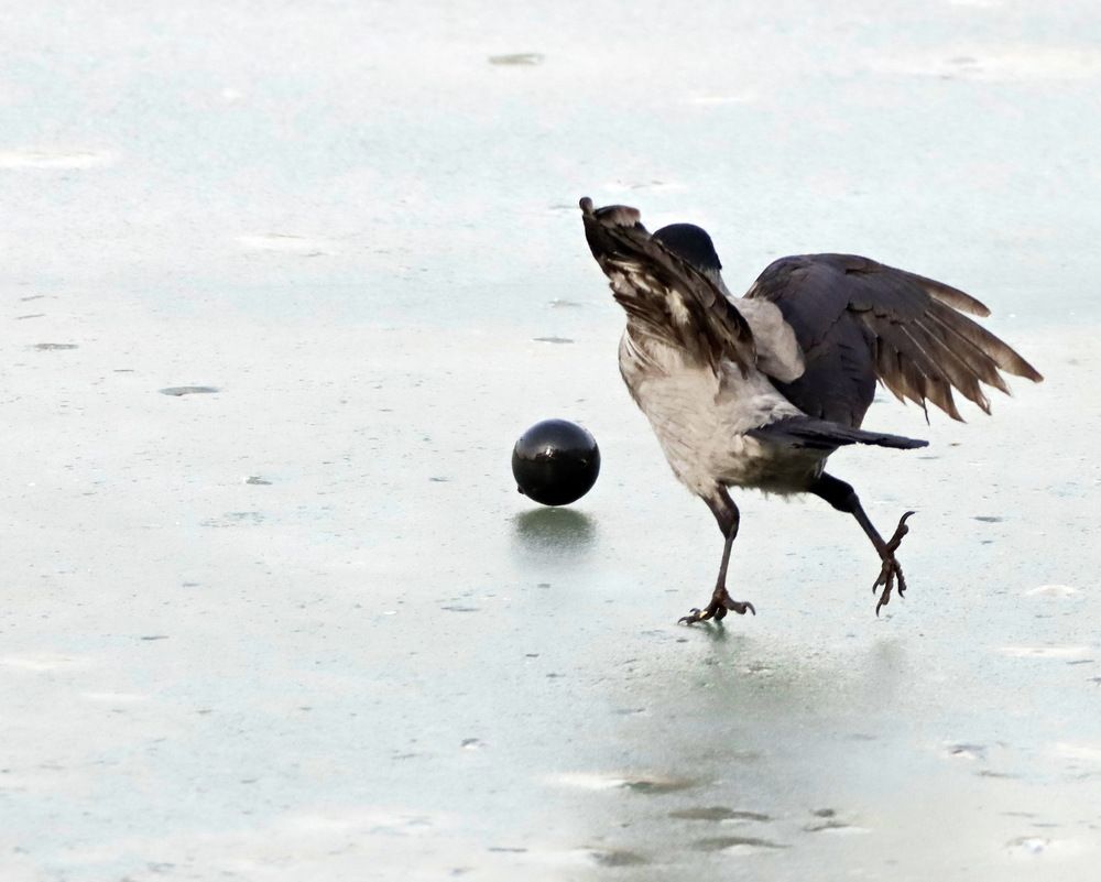 Photograph by Сергей Маслов