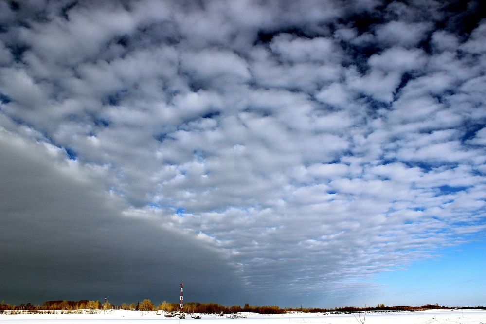 Photograph by Галина Мазур