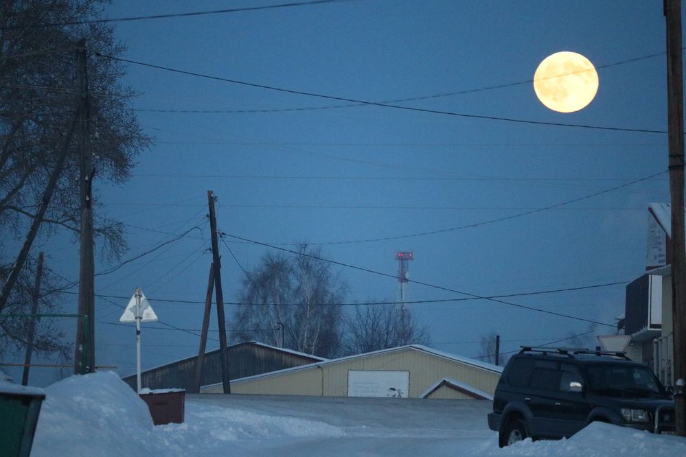 Photograph by Галина Мазур