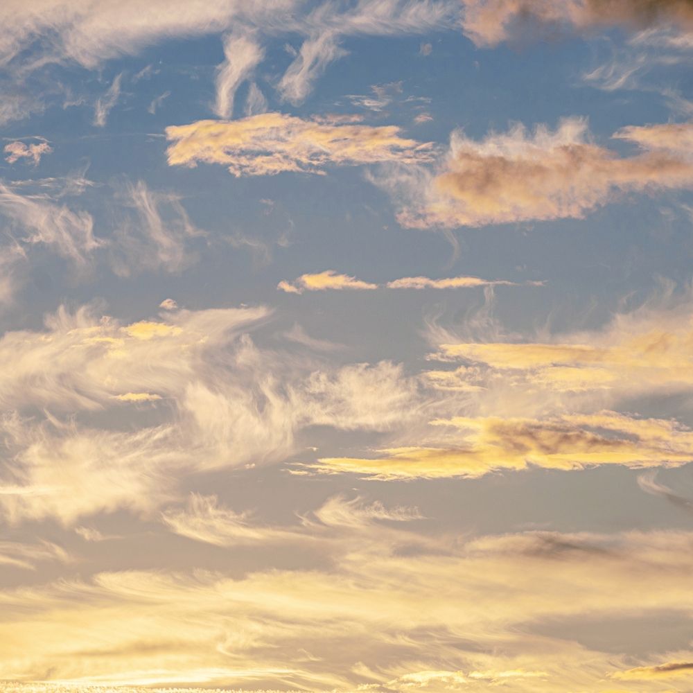 Photograph by Tatiana Shtun