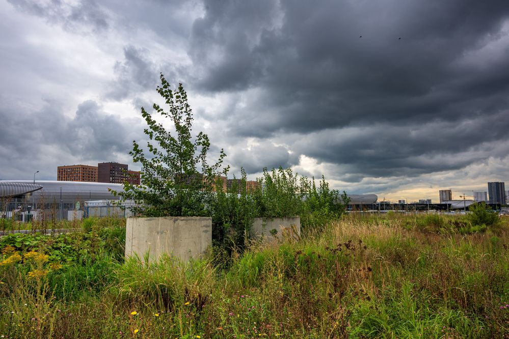 Photograph by Демьян Лопатов