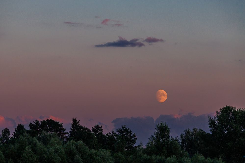 Photograph by Людмила Аксенова