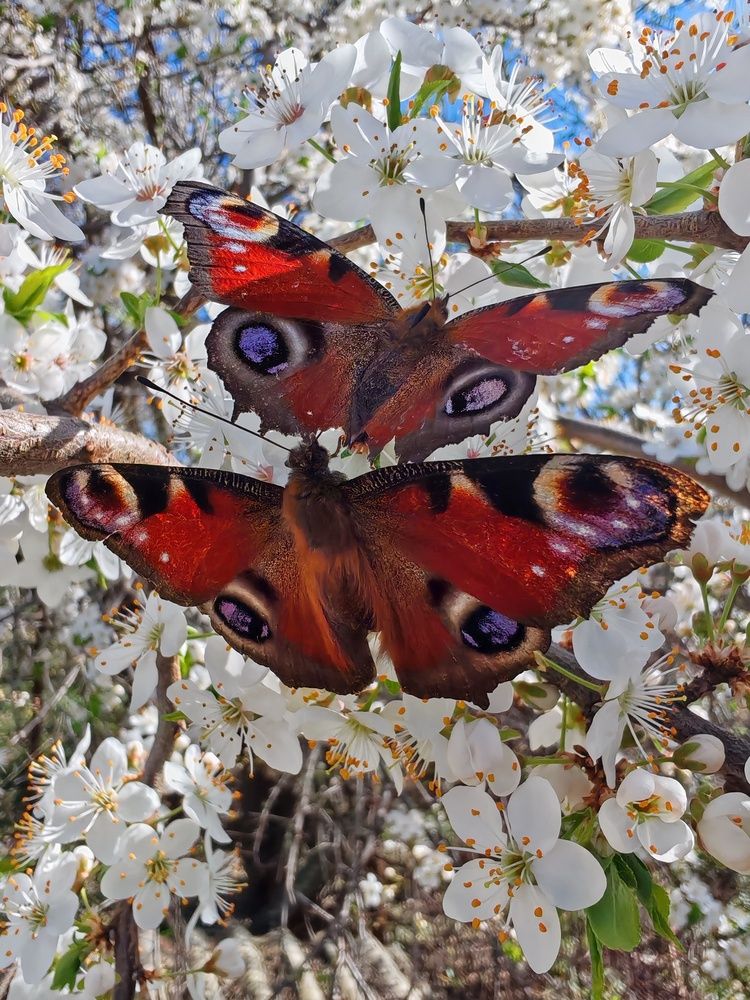 Photograph by Ольга