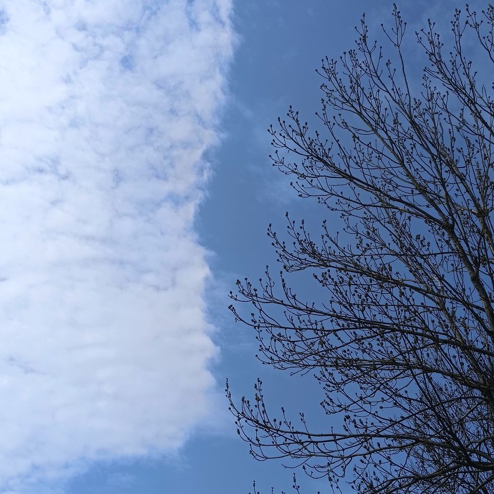 Photograph by Ирина Шведчикова