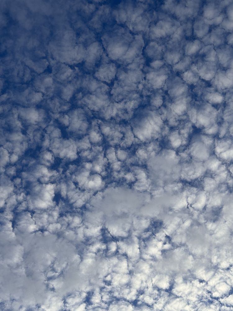 Photograph by Светлана Сергеева