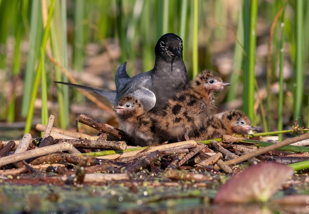 Photograph by Павел Краснослободцев