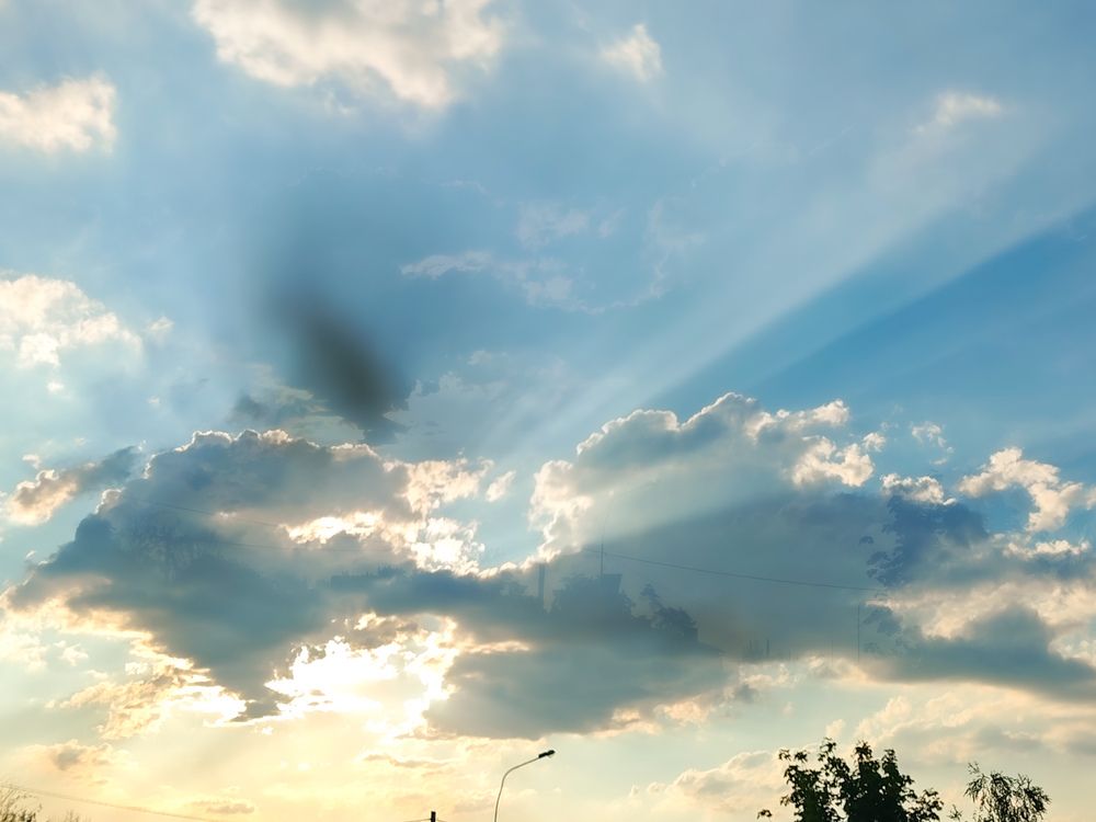 Фотография автора OXANA NAUMOVA