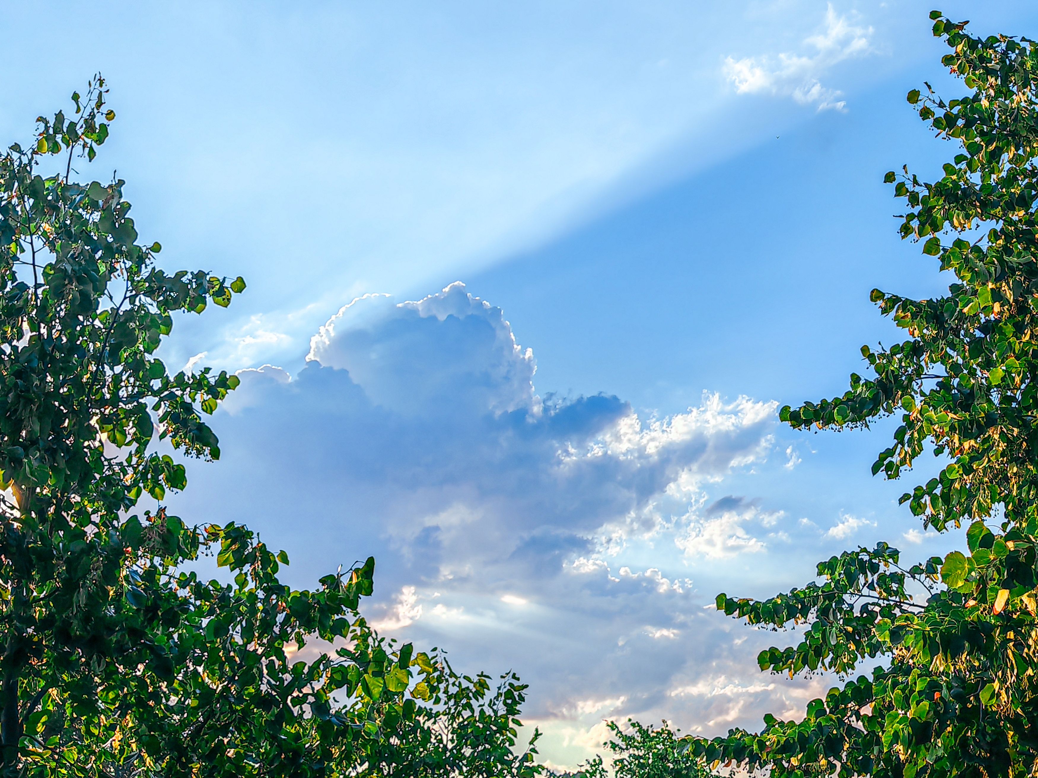 Фотография автора OXANA NAUMOVA