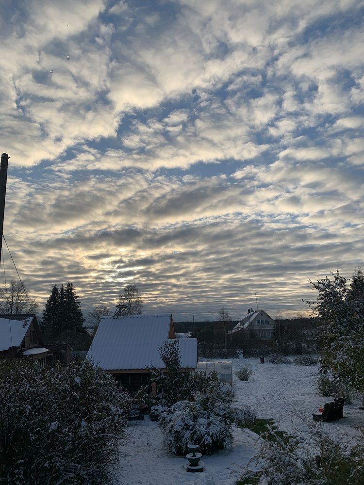 Photograph by Елена