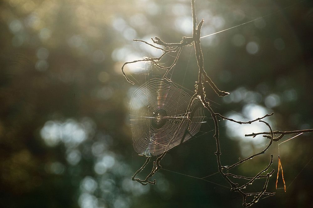 За окнами август