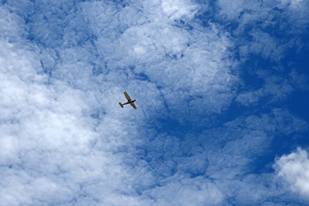 Фотография автора NARAYAN PATEL