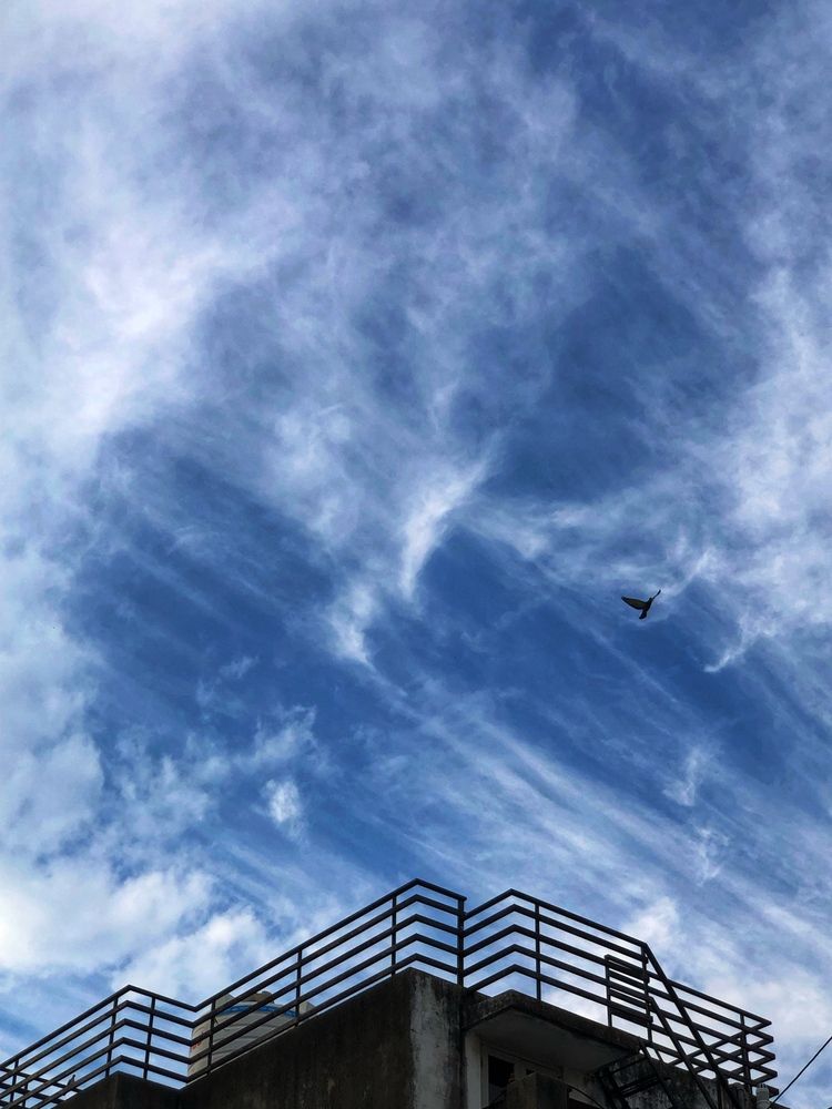 Фотография автора NARAYAN PATEL