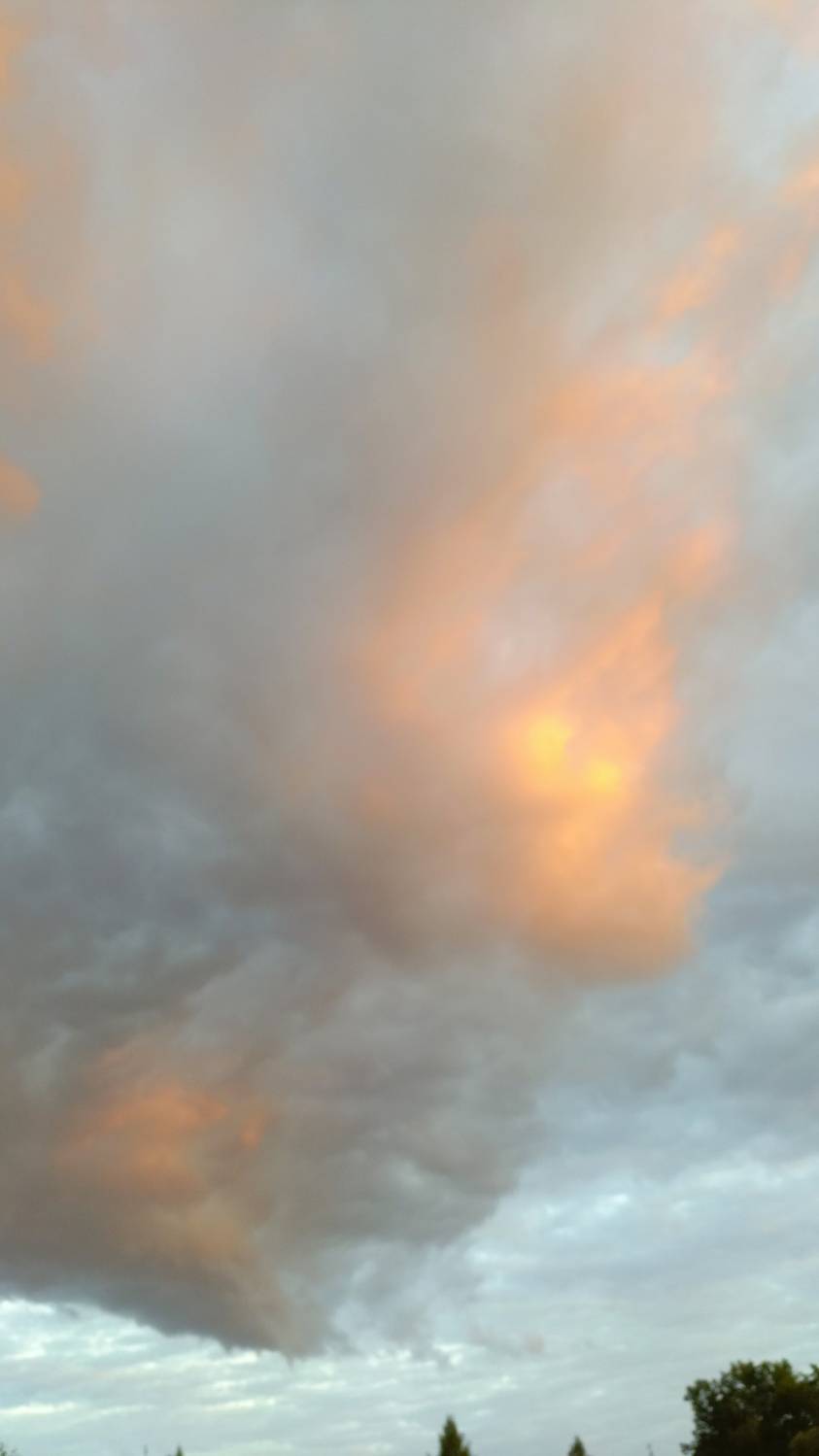 Photo #12511552