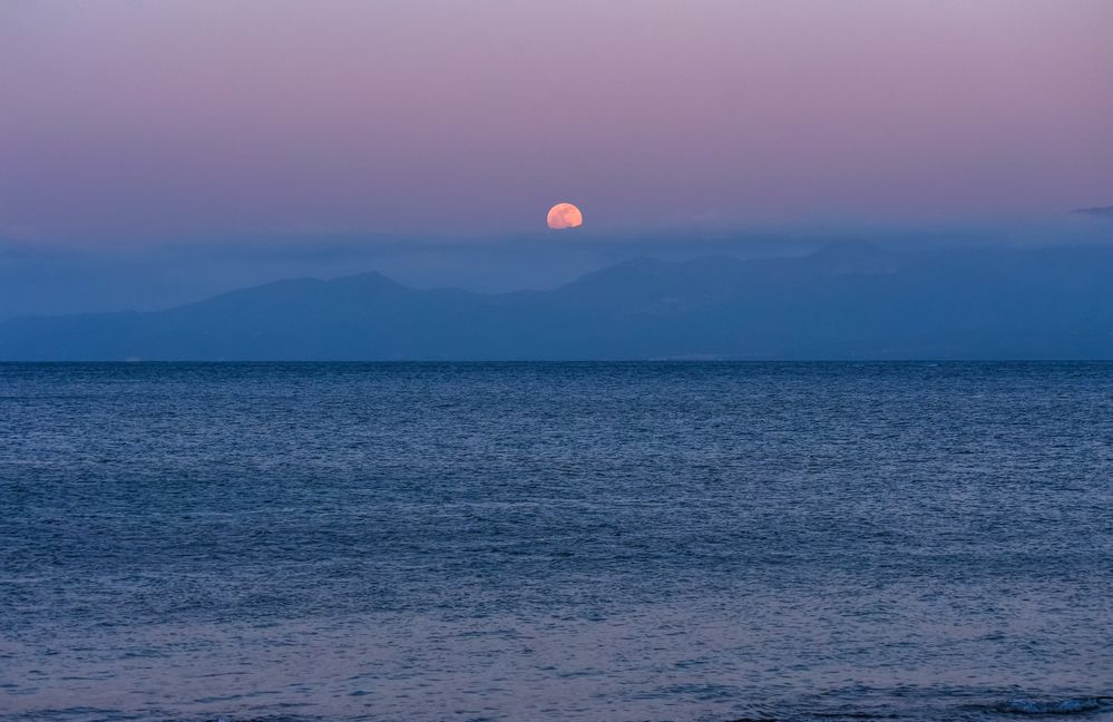 Photograph by Teresa Molinaro