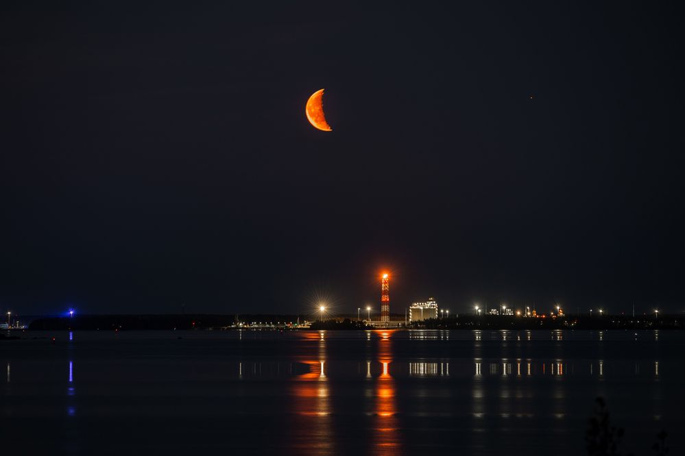 Фотография автора Mika Mgla