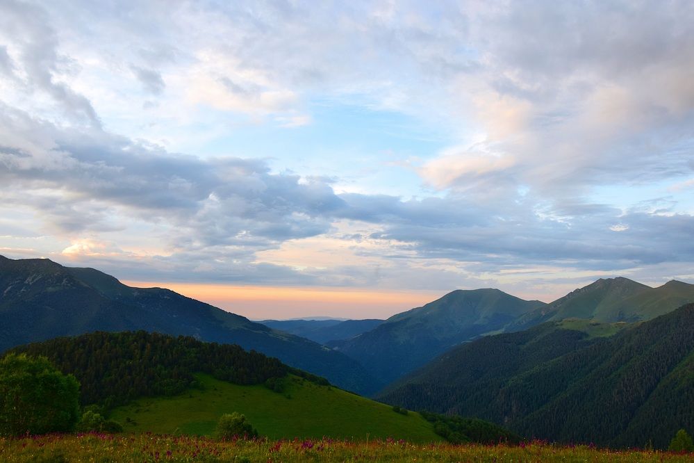 Photograph by Margo Margo