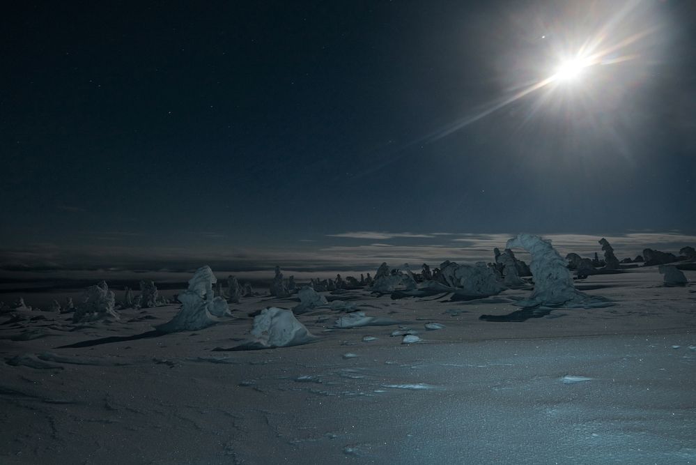 Photograph by Соколова Елена