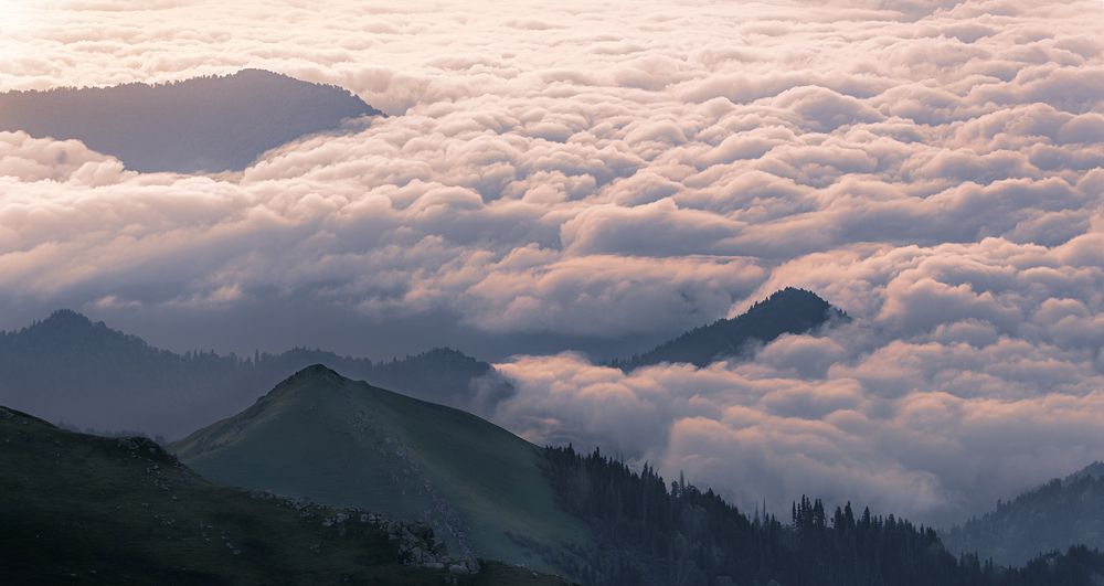 Фотография автора Ilia