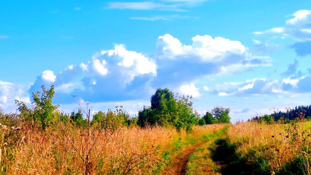 Photograph by Николай Худяков