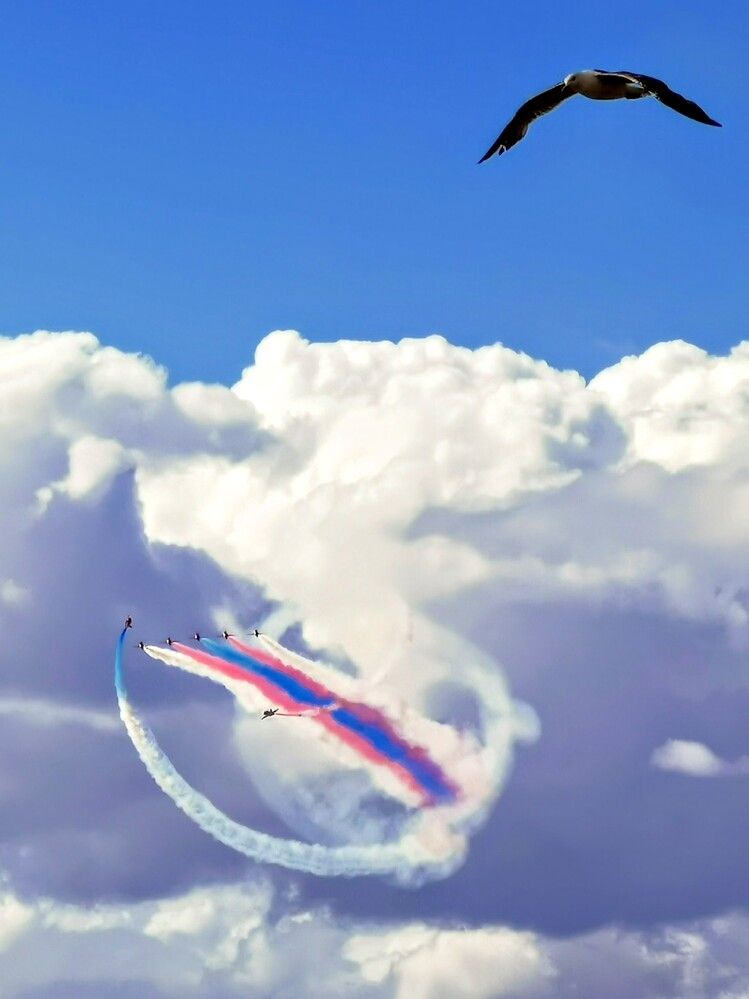 Фотография автора Ian Heard