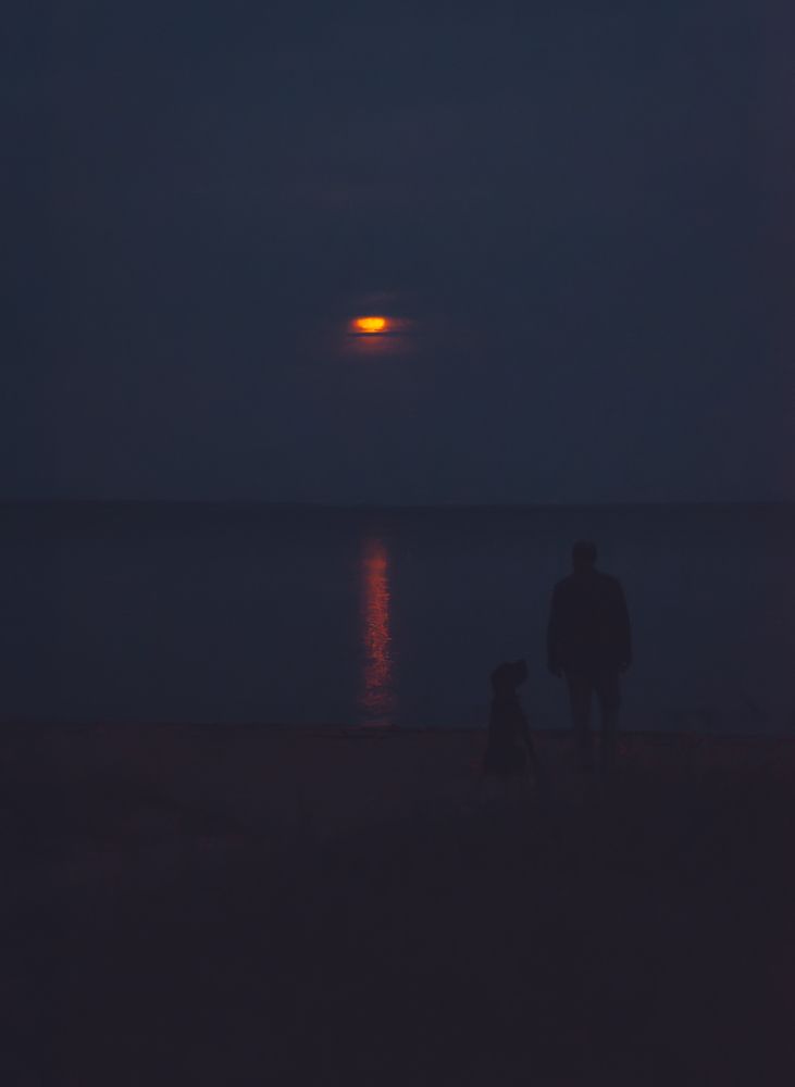 Photograph by Ольга Глущенко