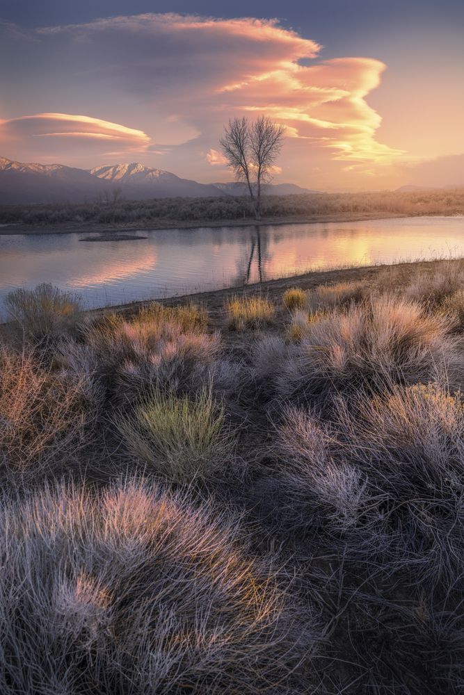 Photograph by Markus Albert