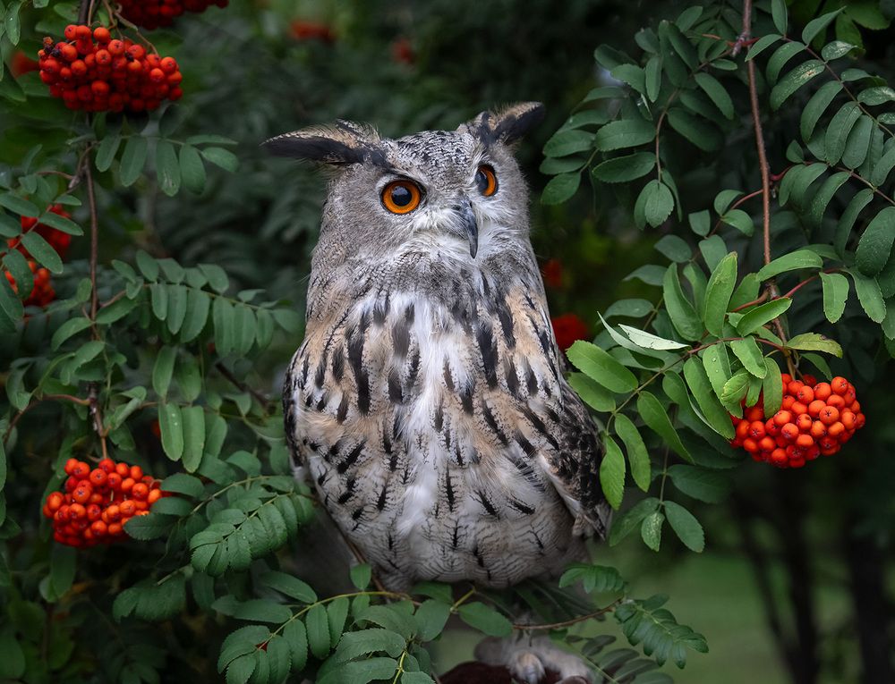 Photograph by Vladimir Ostapenko