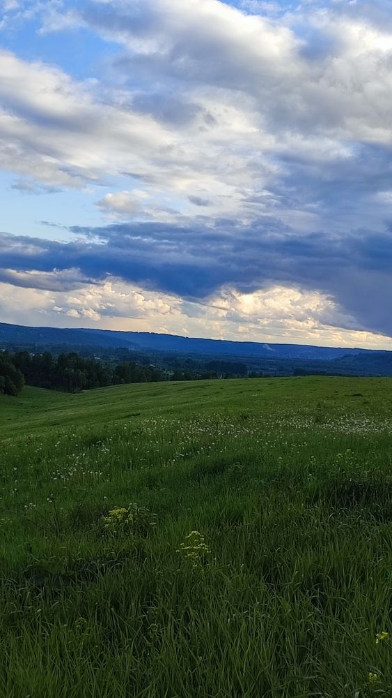 Photograph by Полина Скурская