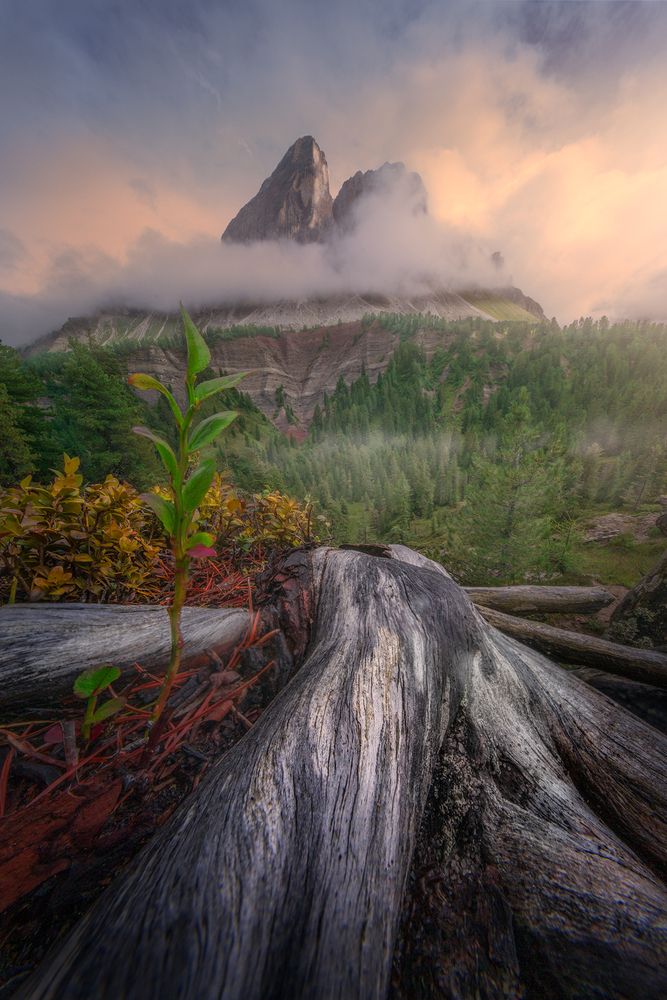 Photograph by Markus Albert