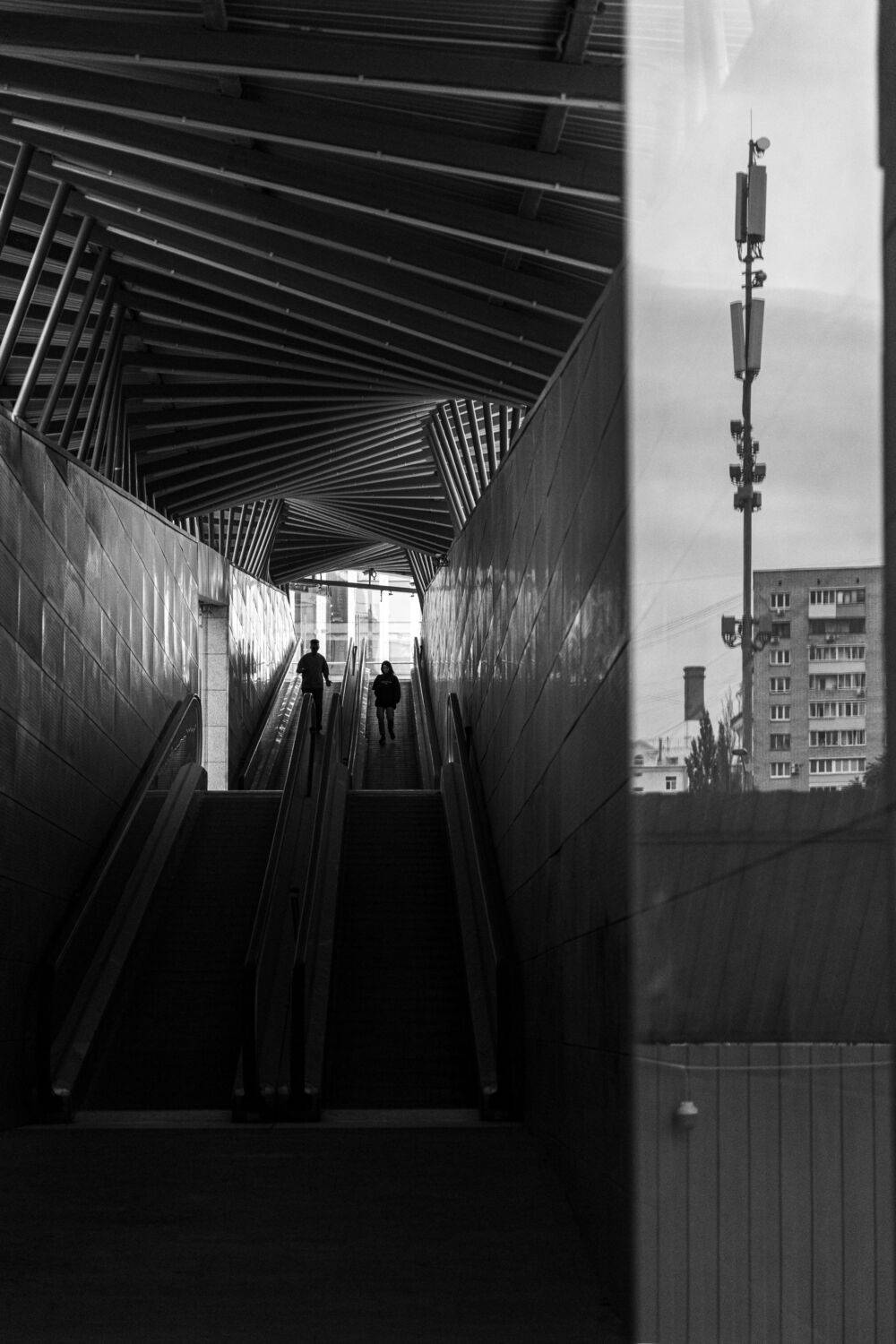 Photo #12511848